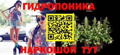 стафф Заводоуковск