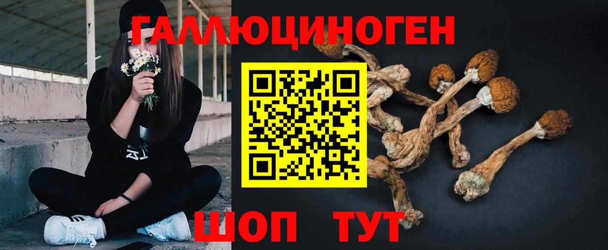 Лыткарино  Псилоцибиновые грибы MAGIC MUSHROOMS  Вход с VPN 